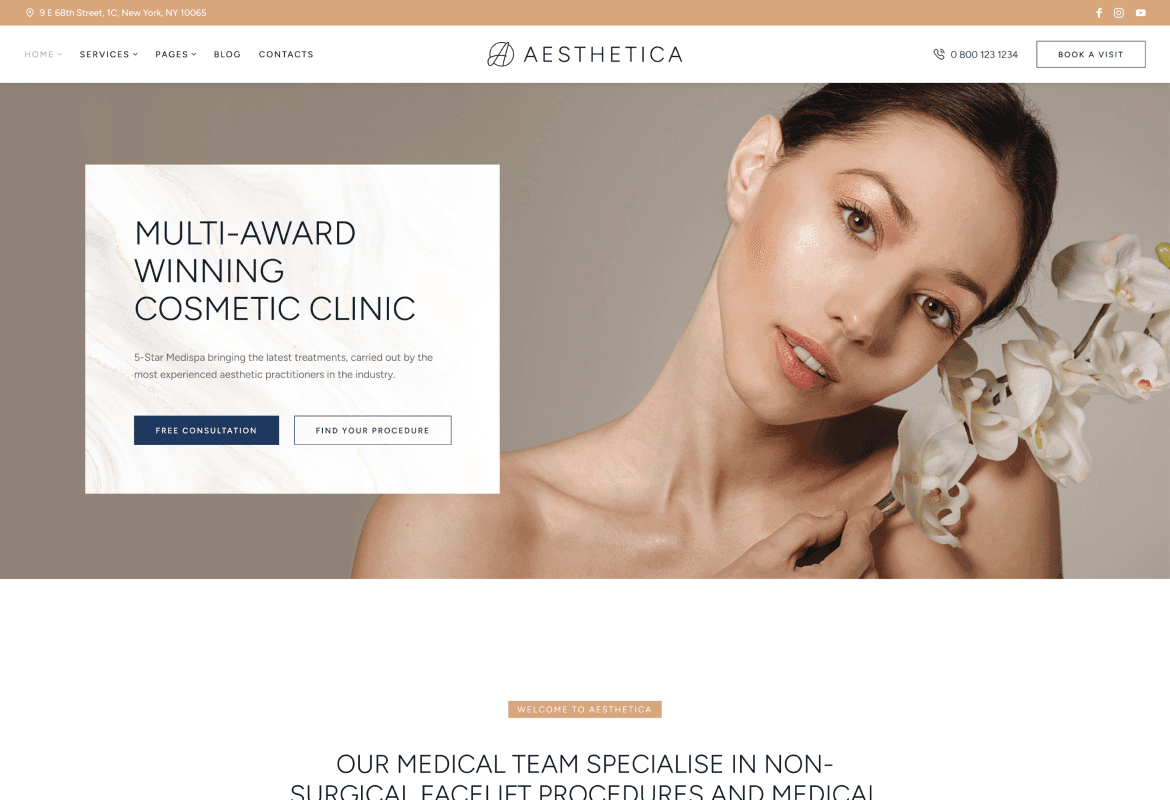 Aesthetica - Beauty Clinic WordPress Theme (3) Aesthetica - Beauty Clinic WordPress Theme