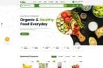 Organio - Organic Food Store WordPress