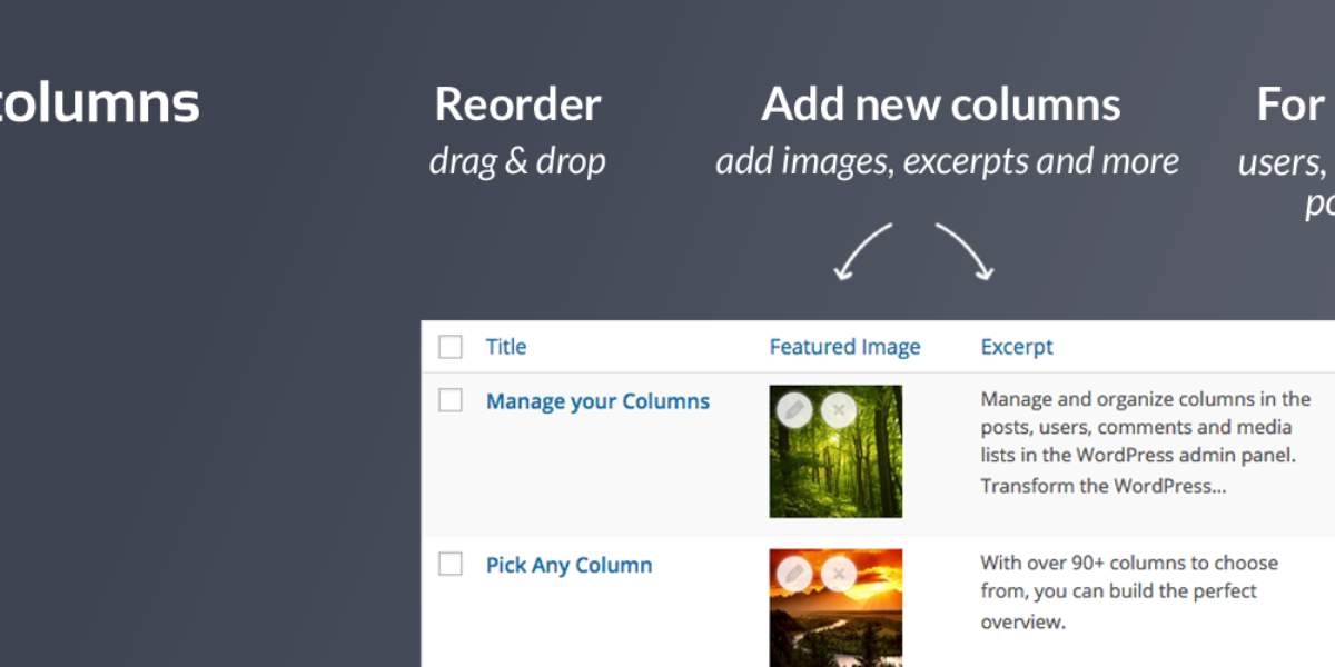 Admin columns pro WordPress Plugin