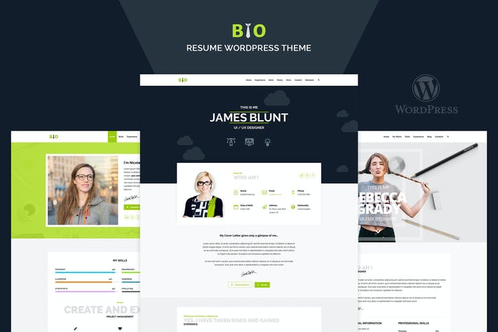 BIO – Resume, CV, Freelancer WordPress Theme