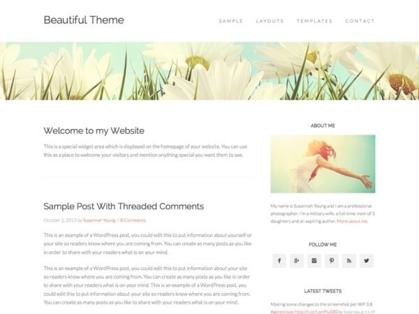 Beautiful Pro Theme