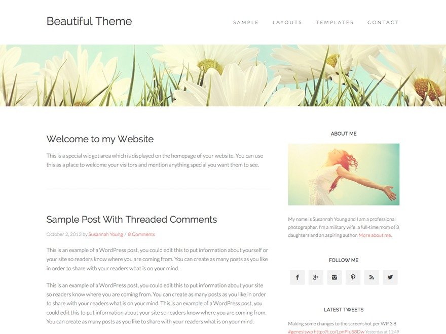 Beautiful Pro Theme