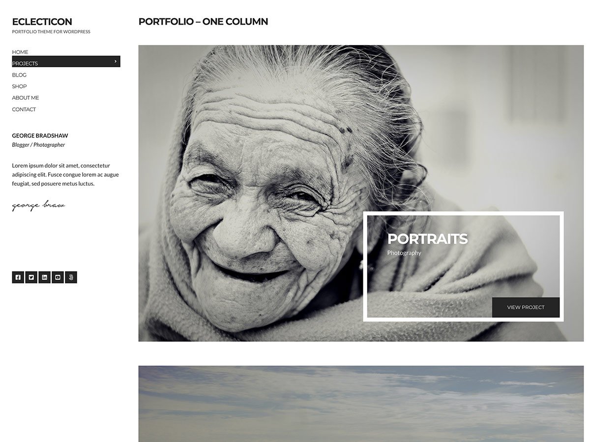 CSS Igniter Eclecticon WordPress Theme