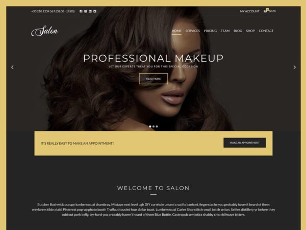 CSS Igniter Salon WordPress Theme