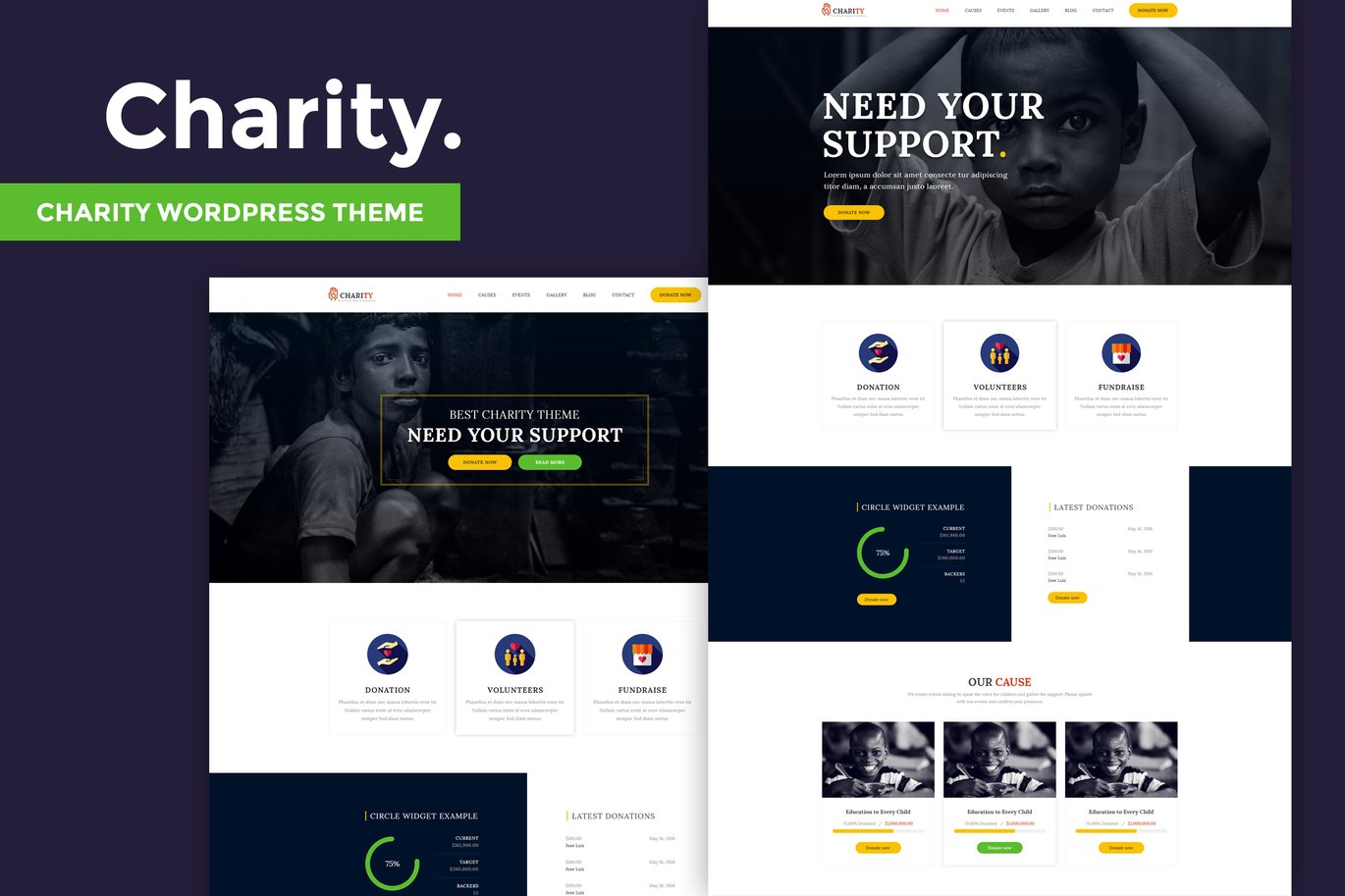 Charity WordPress Theme