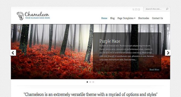 Elegant Themes Chameleon Premium WordPress Theme