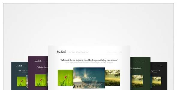 Elegant Themes Modest Premium WordPress Theme