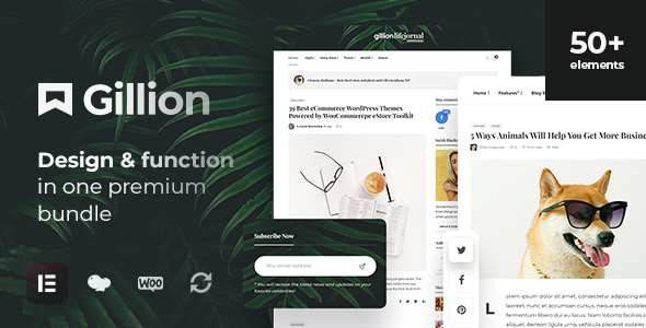 Gillion Multi-Concept Blog Magazine & Shop WordPress AMP Theme