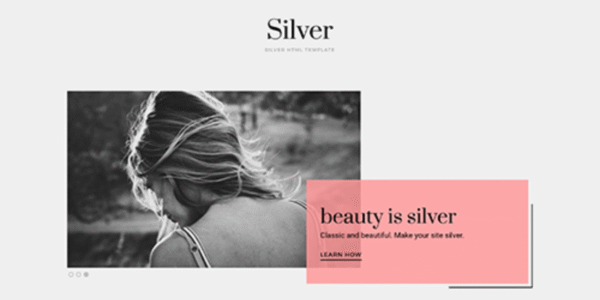 Silver - Wordpress Theme
