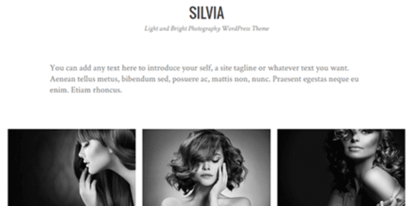 Silvia - Wordpress Theme
