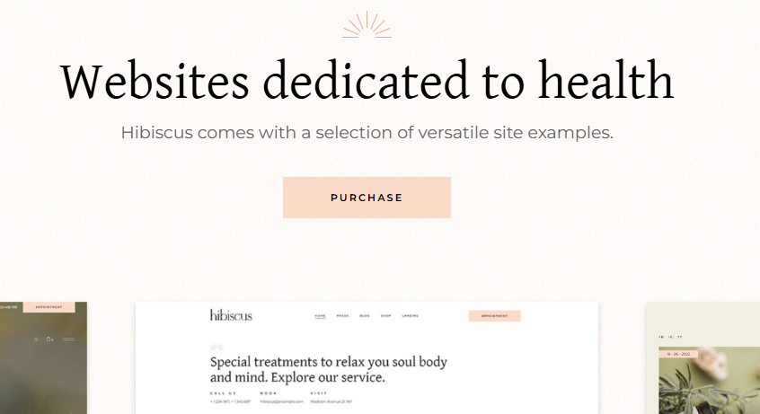 Hibiscus – Alternative Medicine and Organic Shop Theme
