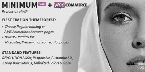 MINIMUM - Professional WordPress Theme