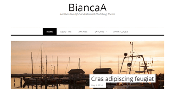 Biancaa Wordpress Themes