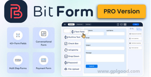 Bit Form Pro