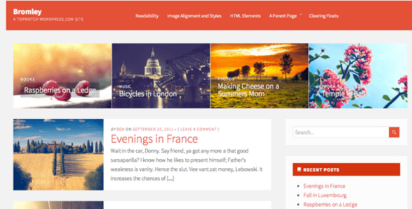Bromley Wordpress Themes