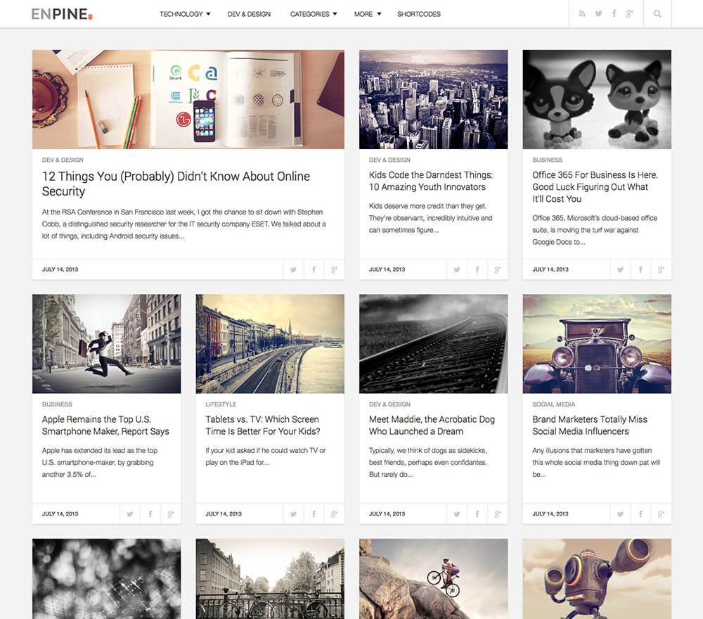 FameThemes Enpine WordPress Theme