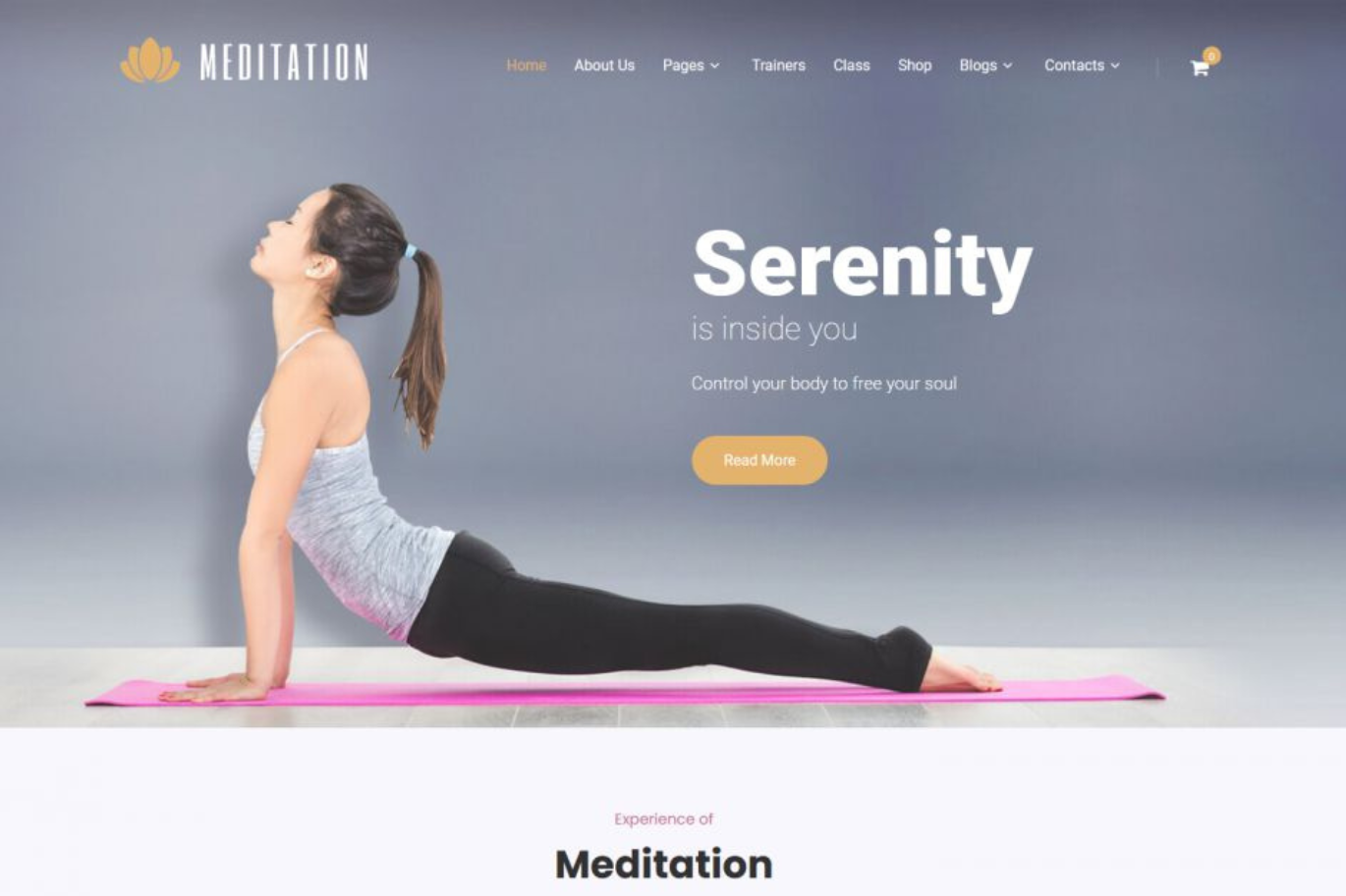 Meditation wordpress theme