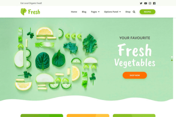 MyThemeShop Fresh WordPress Theme