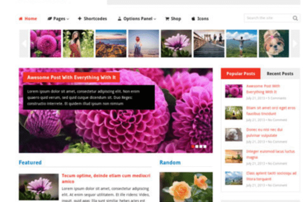 MyThemeShop Frontpage WordPress Theme