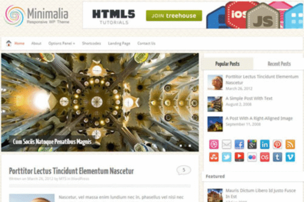 MyThemeShop Minimalia WordPress Theme