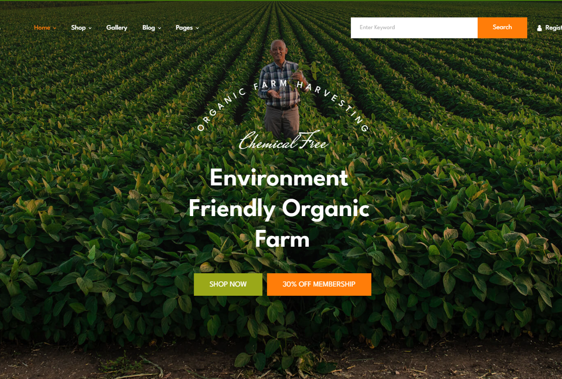 Namm – Grocery Shop WordPress Theme