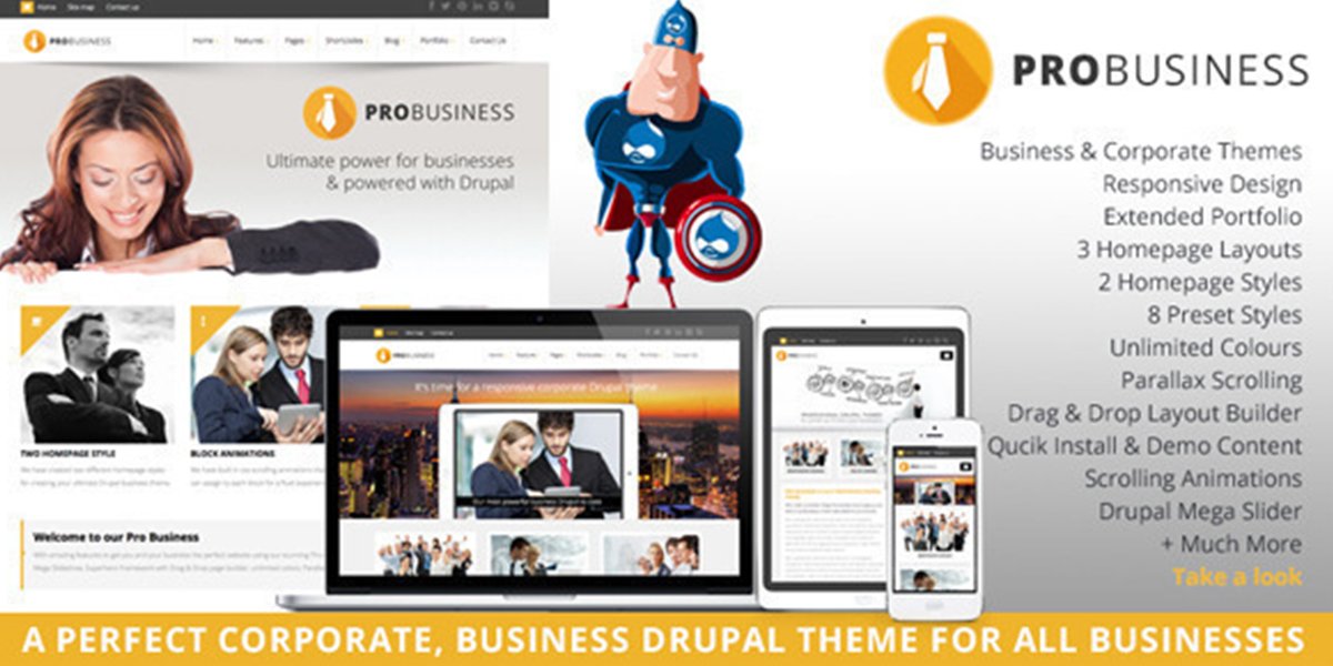 PRO Business – Responsive Multi-Purpose Theme