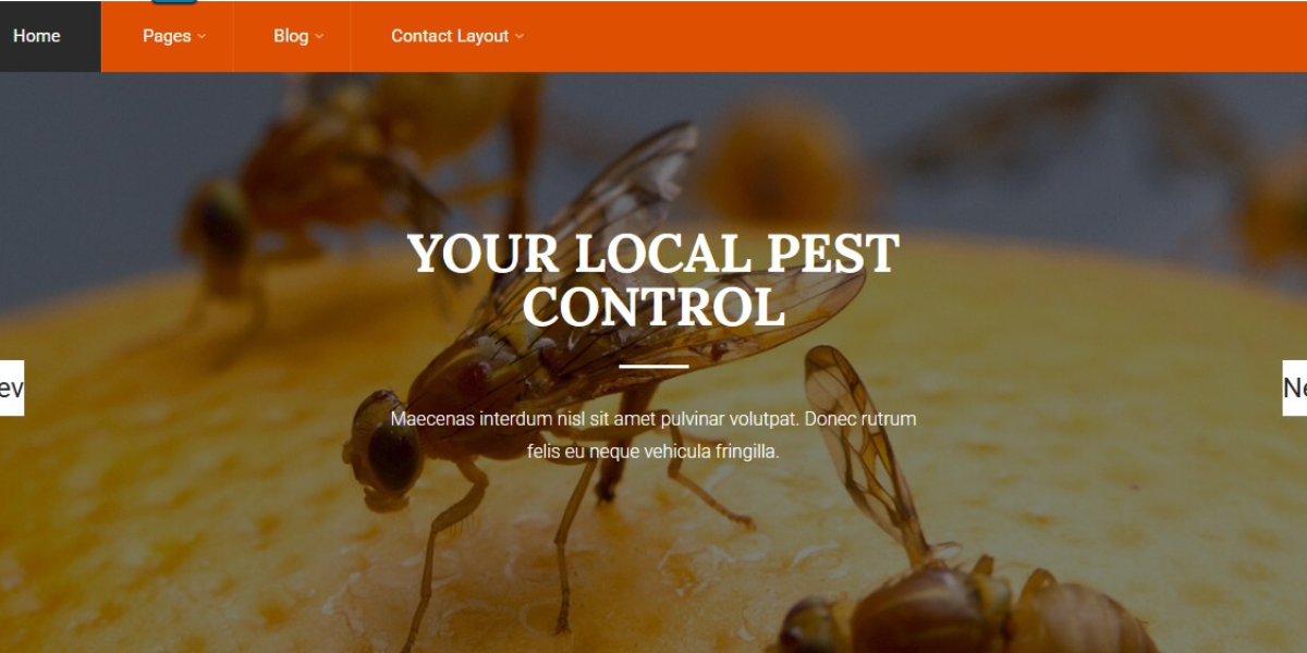 Pest Control wordpress theme