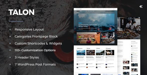 Talon Responsive WordPress Theme