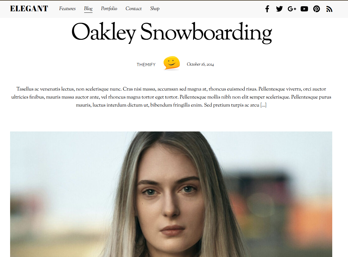 Themify Elegant WordPress Theme