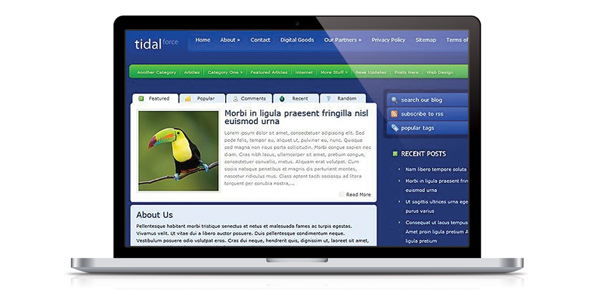 TidalForce a dynamic and visually stunning WordPress theme