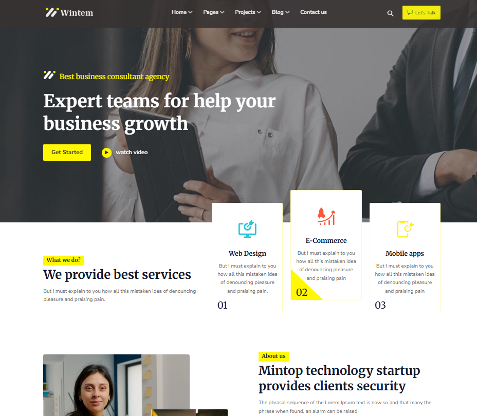 Wintem – Creative Agency WordPress Theme