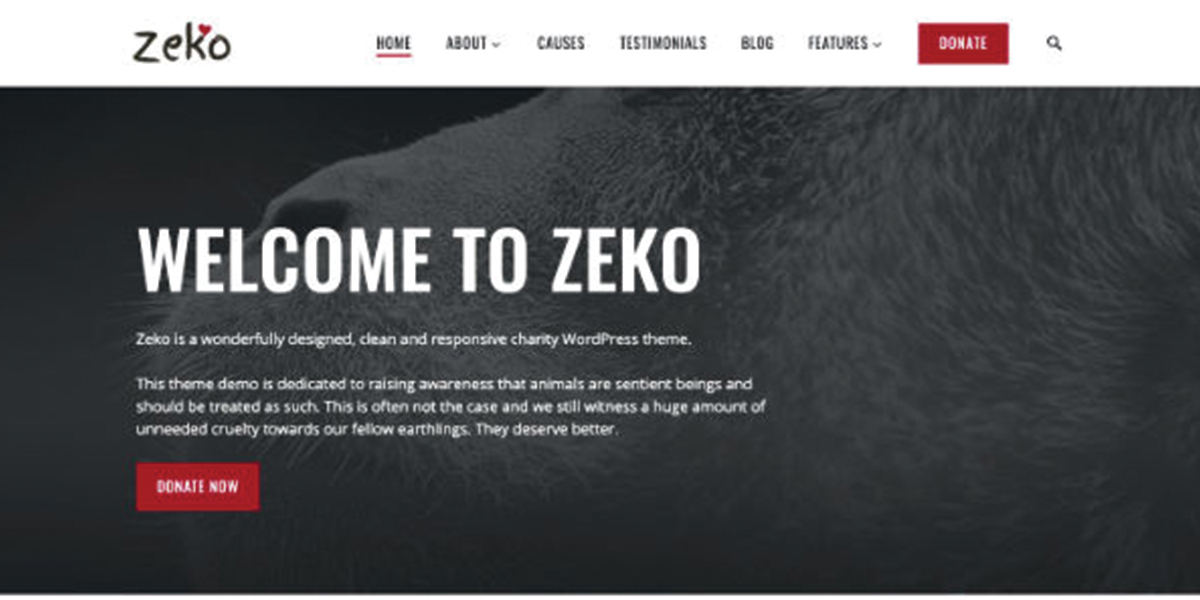 Zeko is a charity WordPress theme