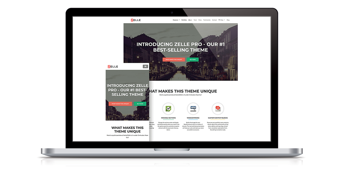 Zelle PRO Wordpress theme