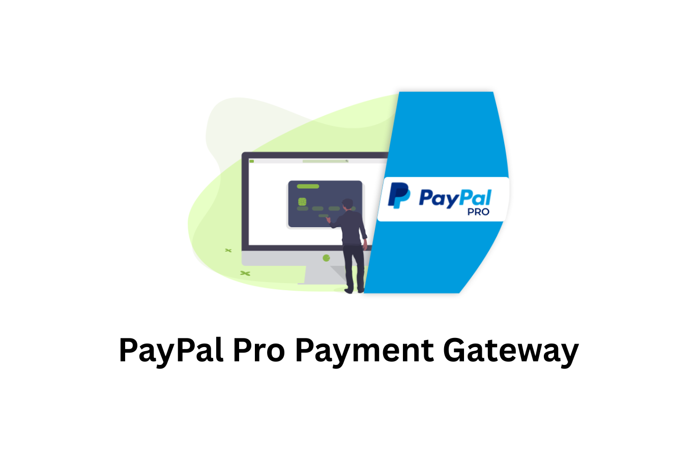GetPaid PayPal Pro Payment Gateway