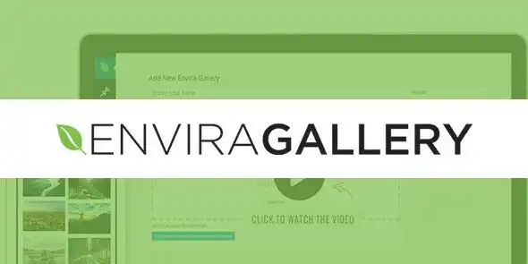 Envira Gallery Audio Addon