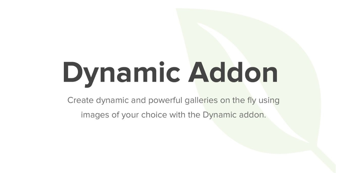 Envira Gallery Dynamic Addon