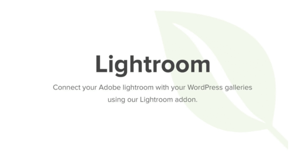 Envira Gallery Lightroom Addon