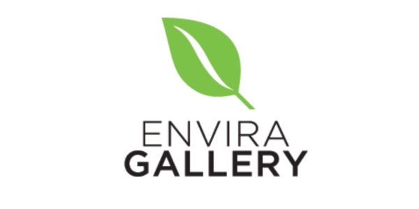 Envira Gallery WordPress Plugin